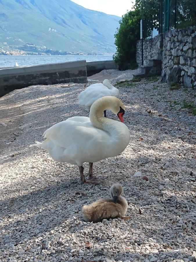 Hotel Astor Limone sul Garda Luaran gambar
